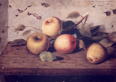 Stilleven met appels door José Jiménez Aranda